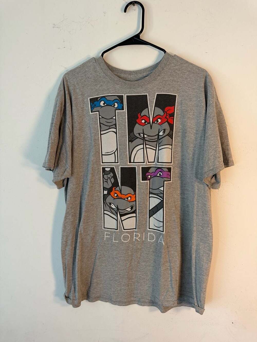 Teenage Mutant Ninja Turtles TMNT Florida Graphic T-Shirt Gray